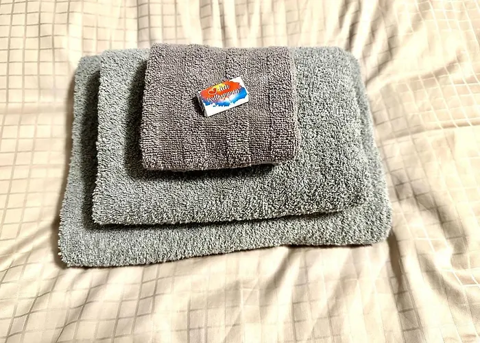 Zentral Gelegene Dg-wohnung Mit 4 Schlafzimmern Appartement *